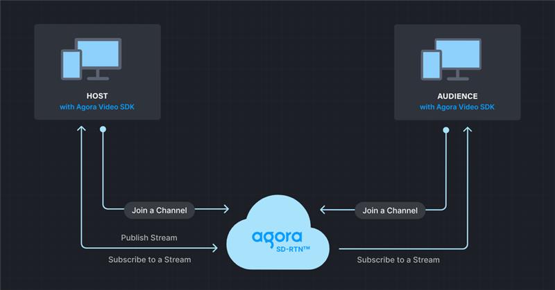 Agora Technical Architecture Diagram